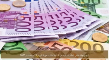 تحديثات الصرف.. اليورو يسجل مستويات جديدة أمام الجنيه في البنوك المصرية خلال تعاملات ديسمبر